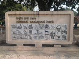 zoo